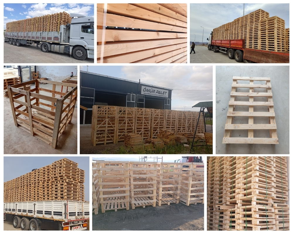 Monfalcone Palette Europe, Acheter des palettes en gros